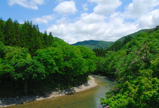 519270 (a): :1920x1300
